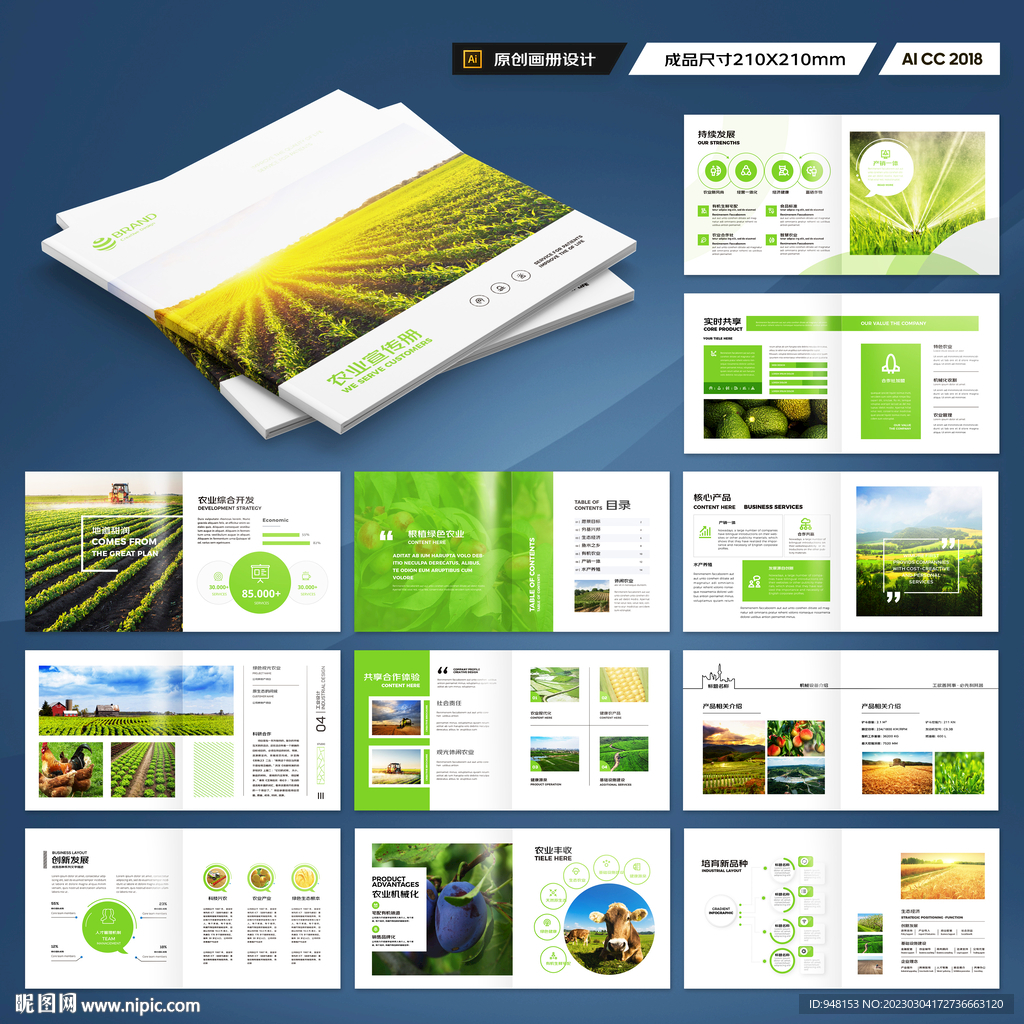 方形农产品宣传册