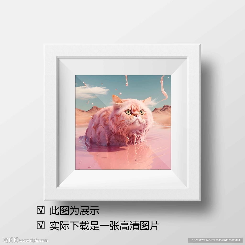 猫咪