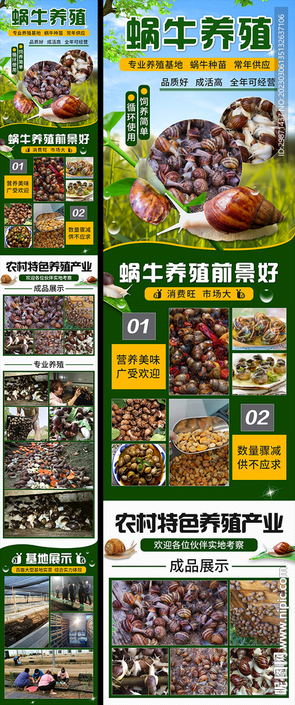 蜗牛养殖
