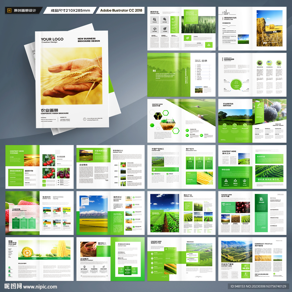 农产品画册