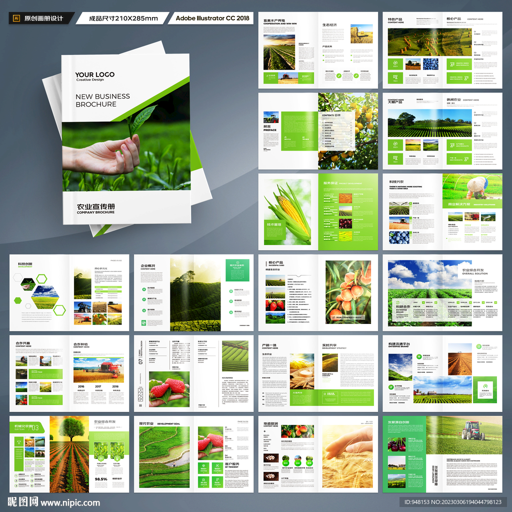 农产品画册