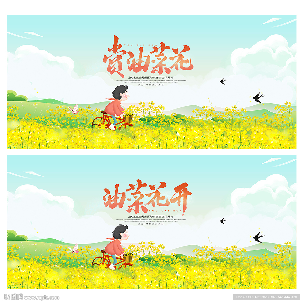 油菜花