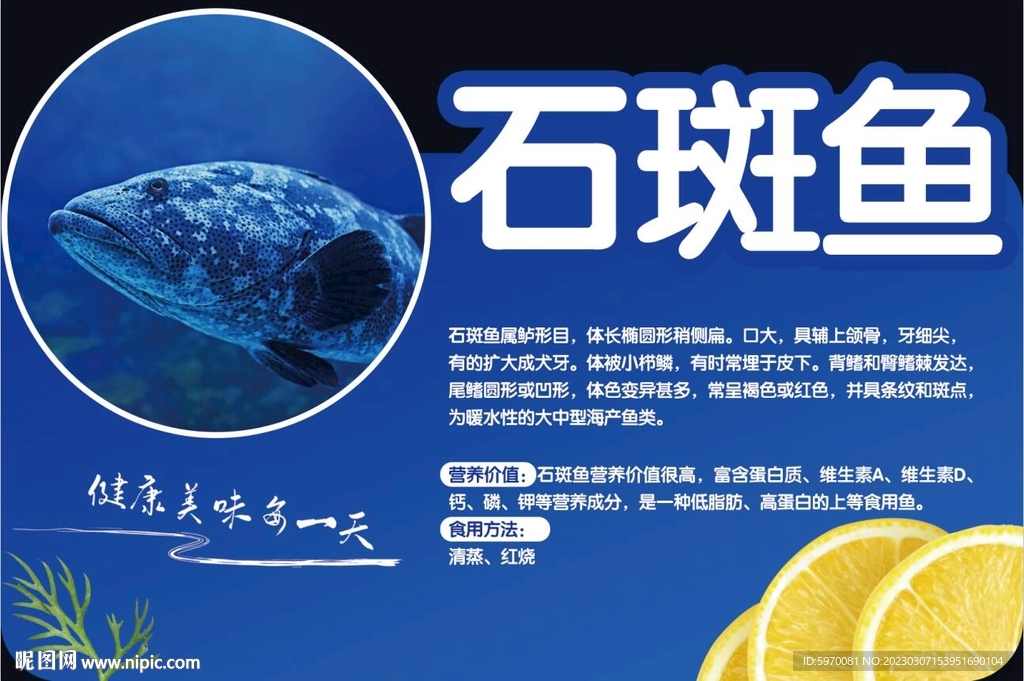 石斑鱼超市异形摆台