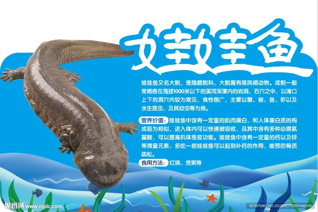 娃娃鱼超市异形摆台