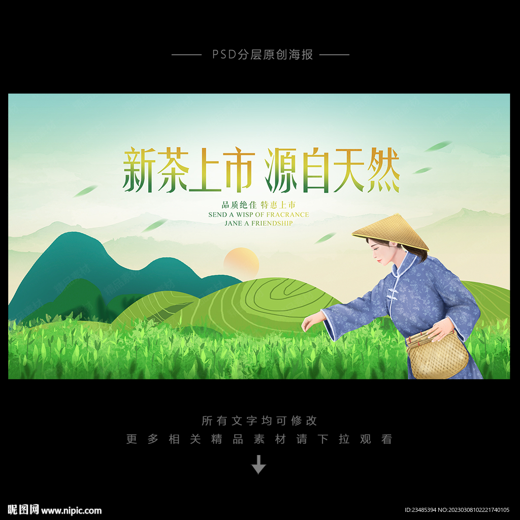 新茶上市