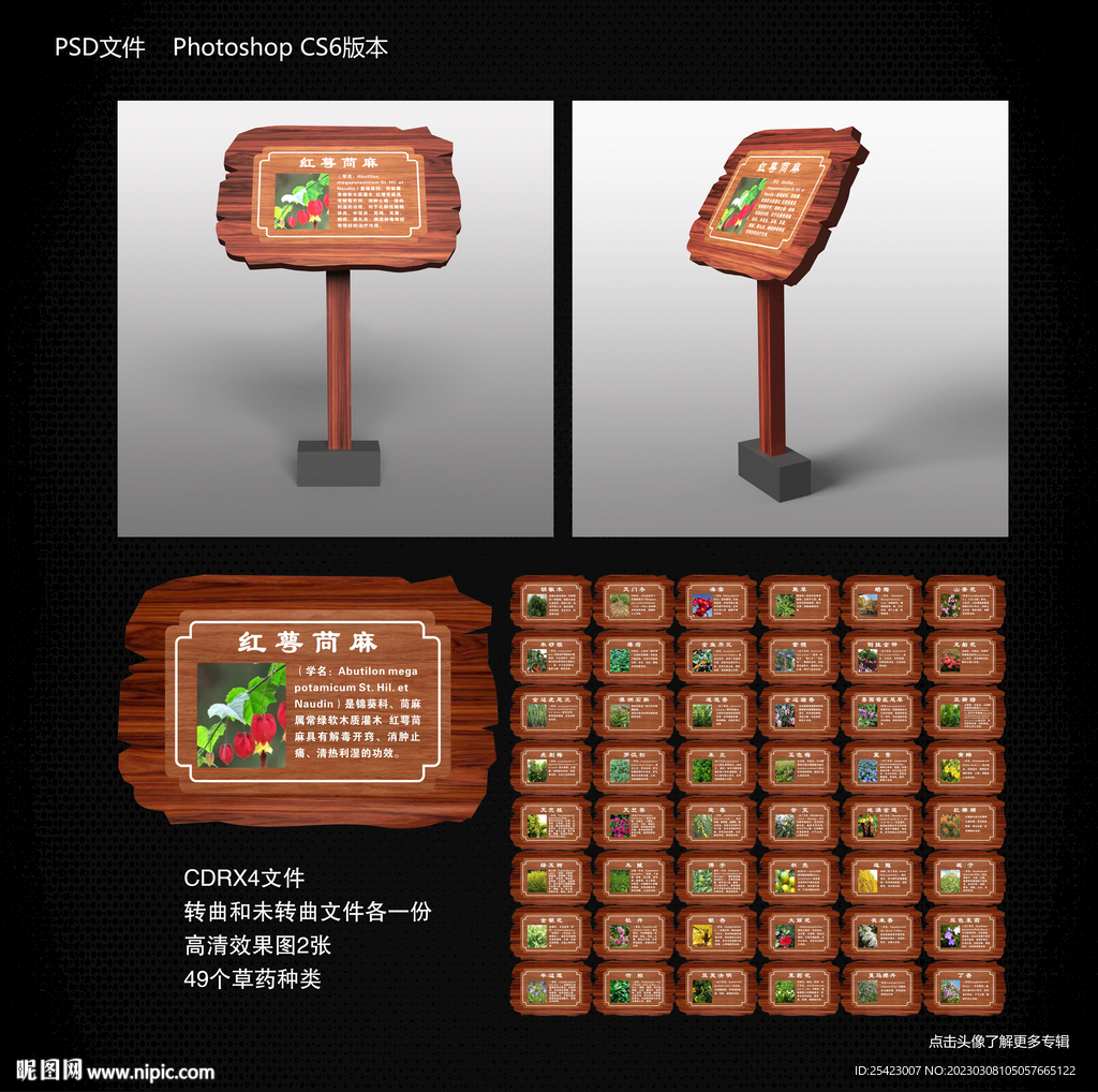 中草药种植