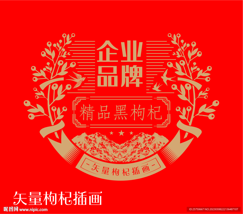 黑枸杞插画