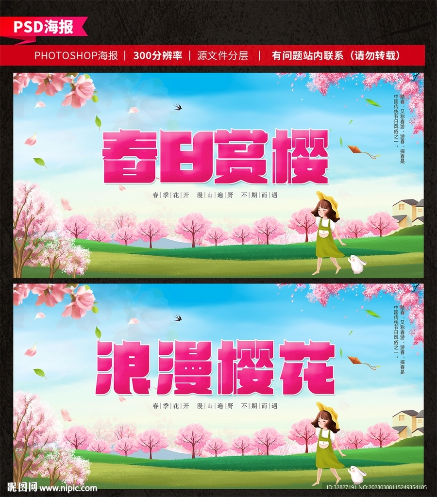 赏樱花