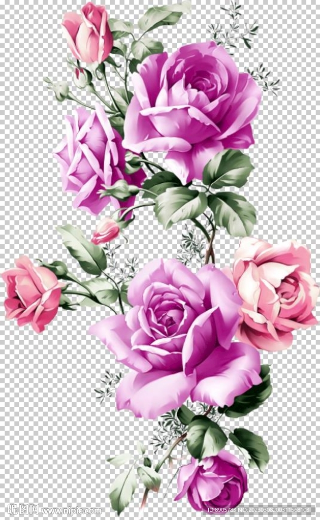 手绘玫瑰花