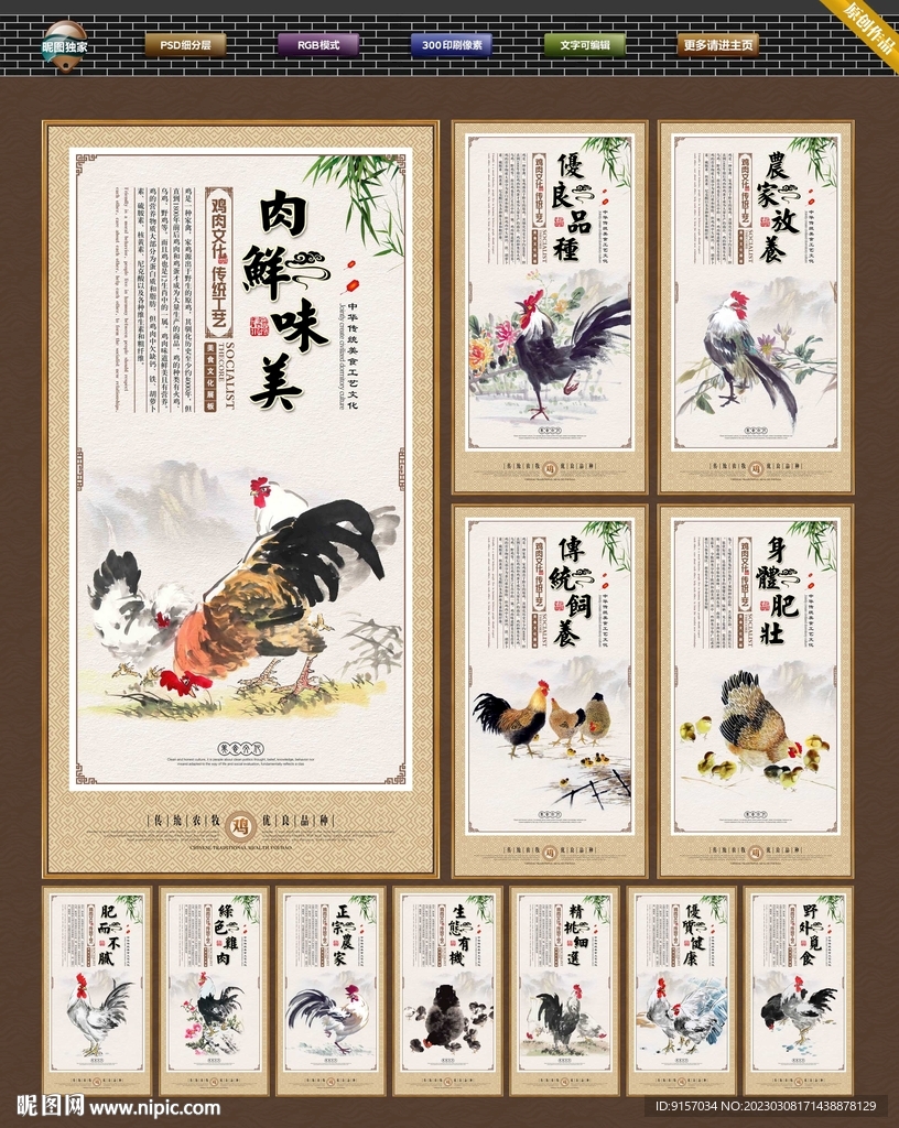 公鸡