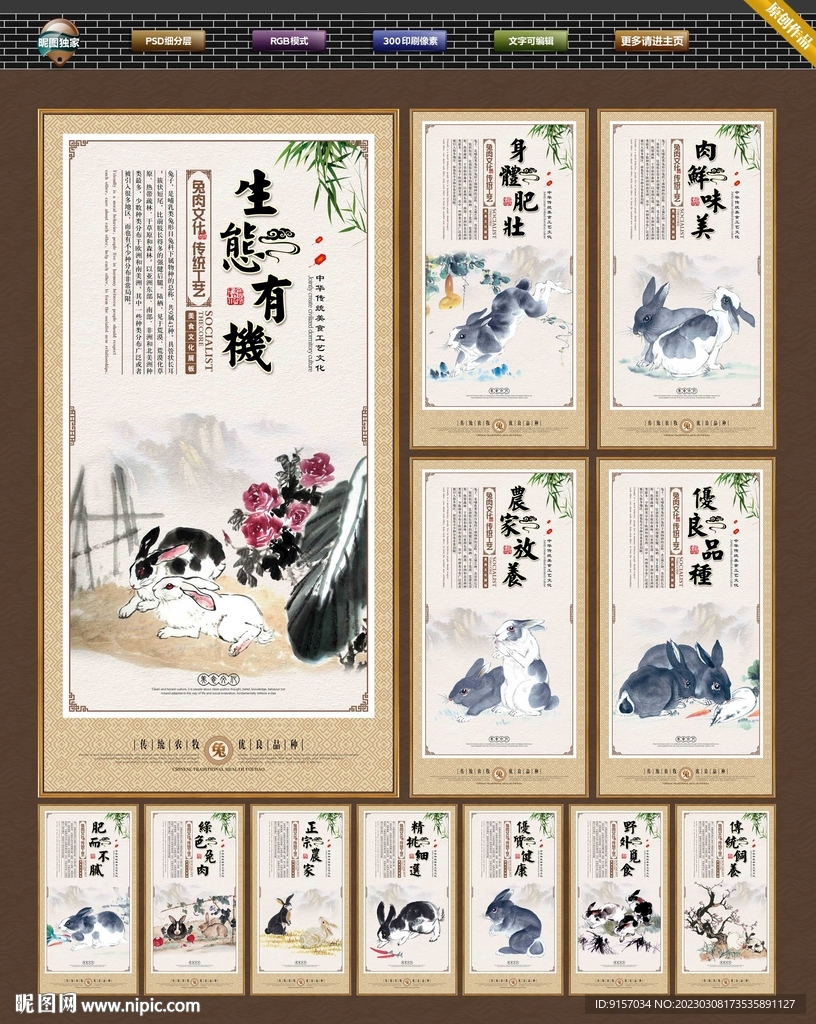 兔子
