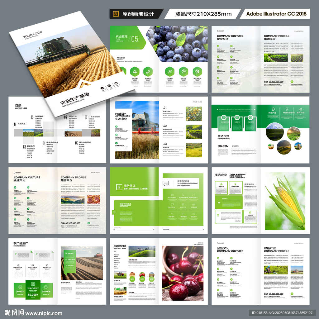 农产品画册