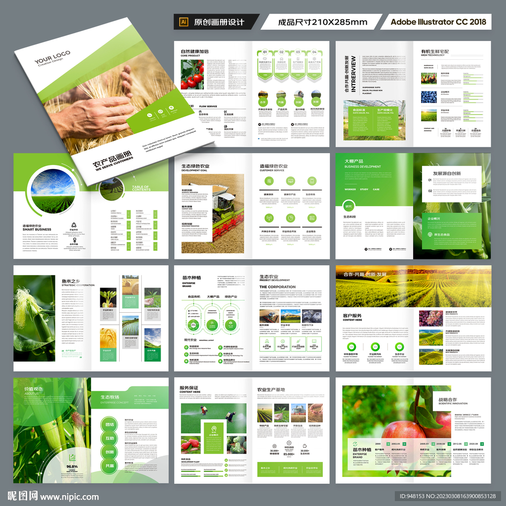 农业合作社画册