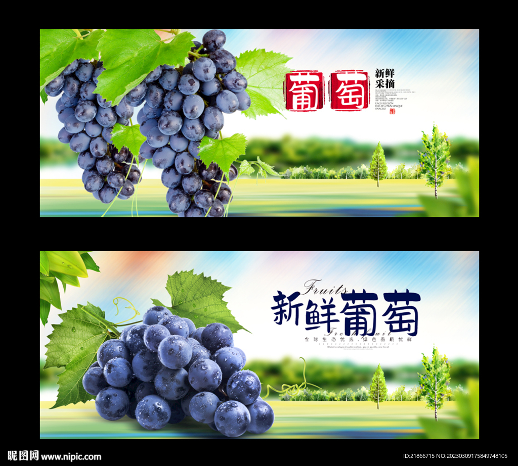 葡萄