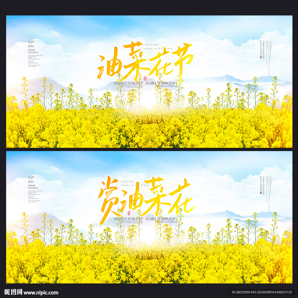油菜花节