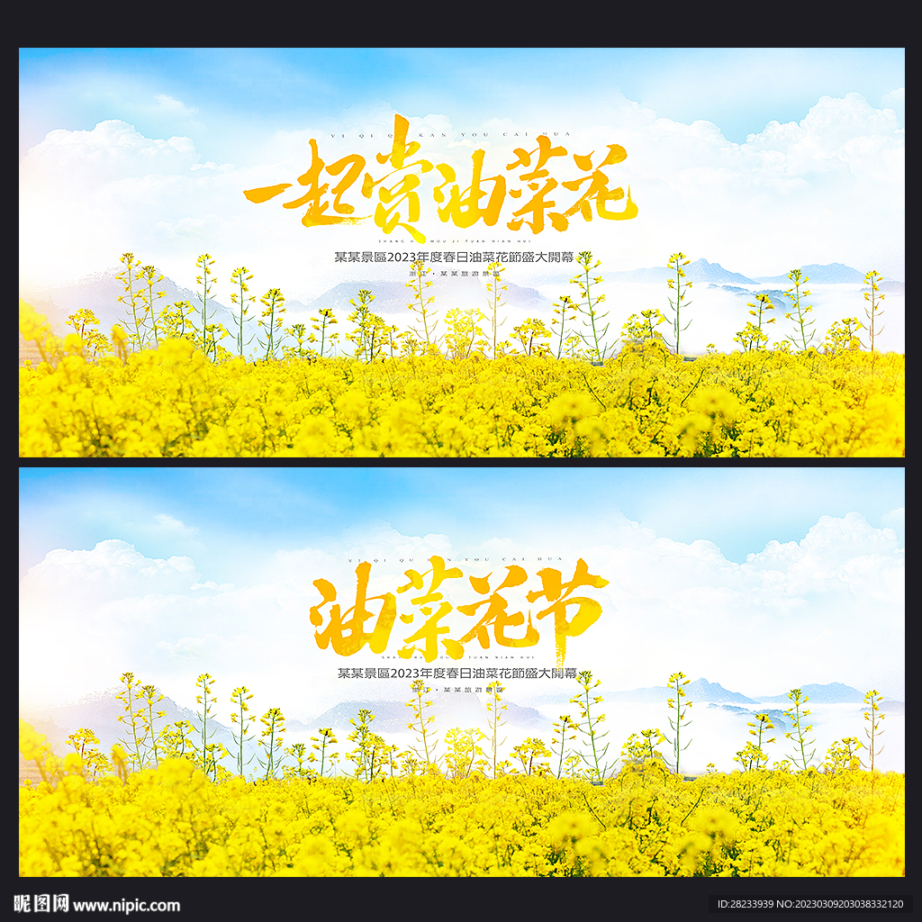油菜花