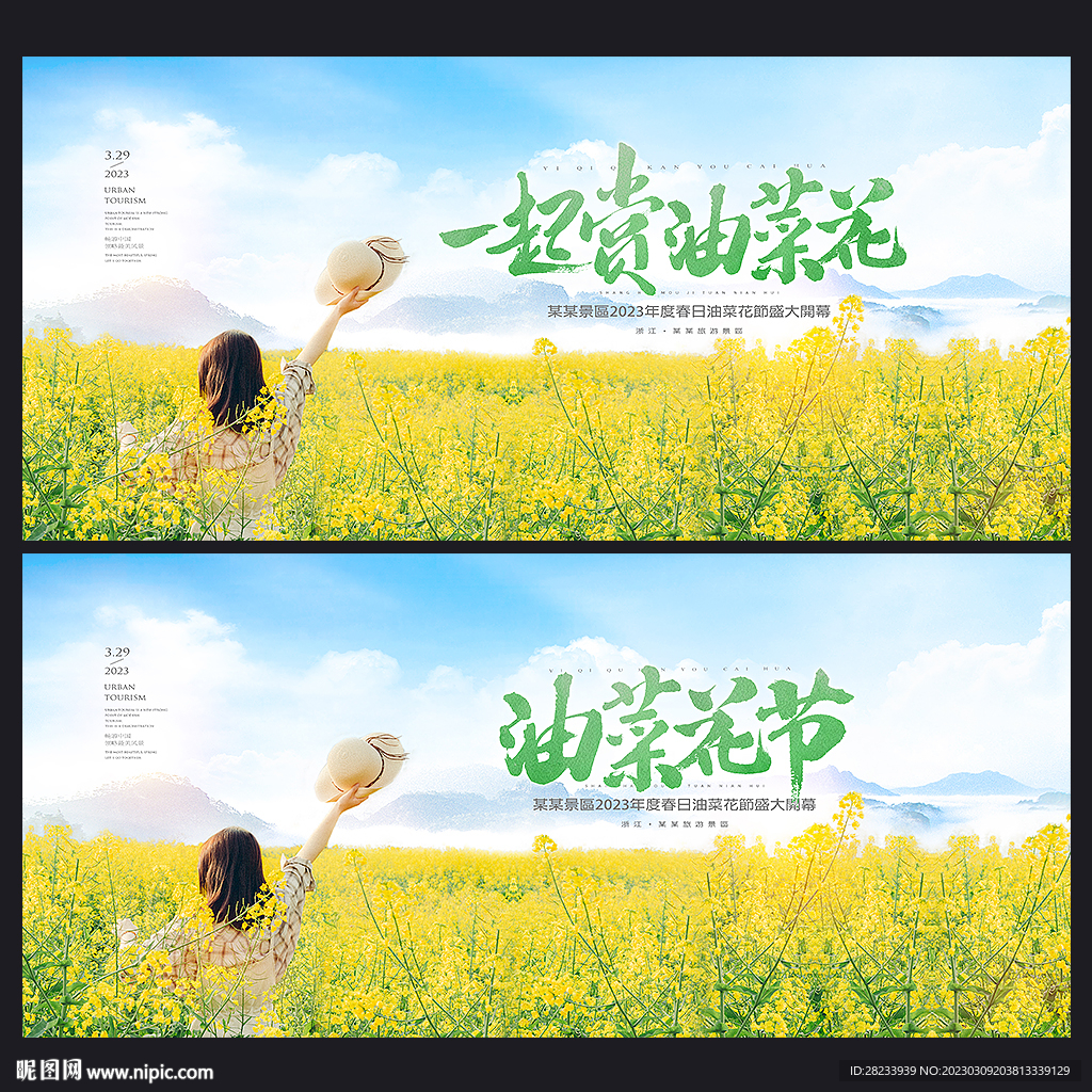 油菜花