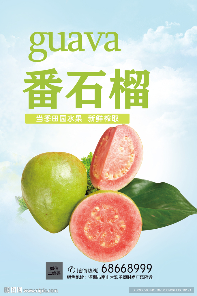 番石榴