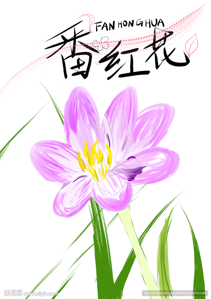 番红花手绘插画简单花卉素材图