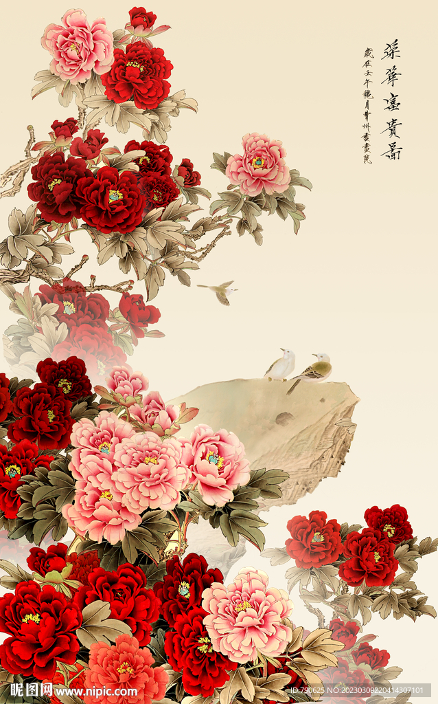 牡丹
