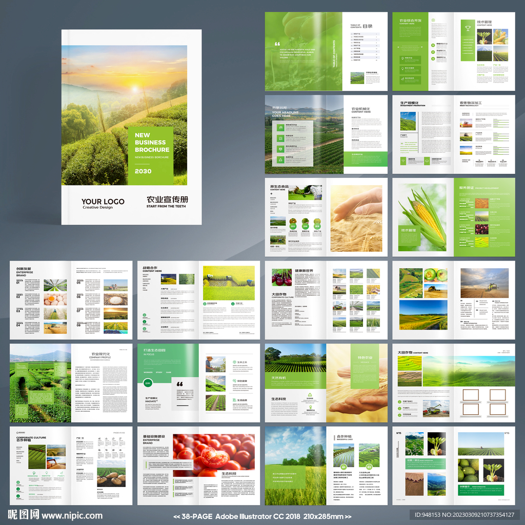农产品宣传册