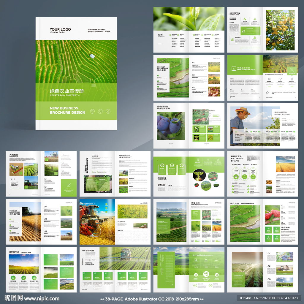 农业宣传册