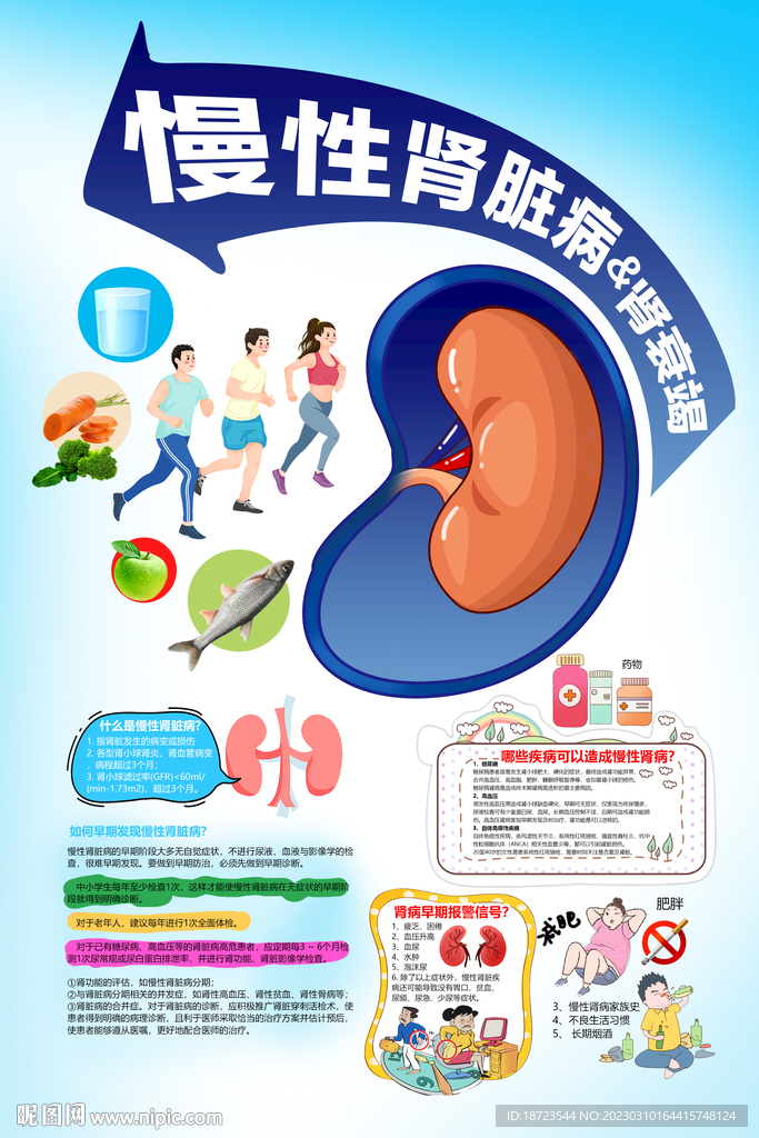 性肾脏病和慢性肾衰竭