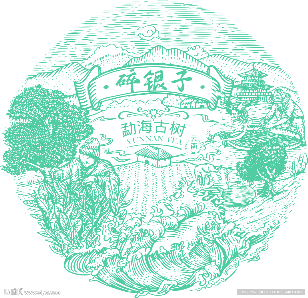 碎银子茶叶包装插画