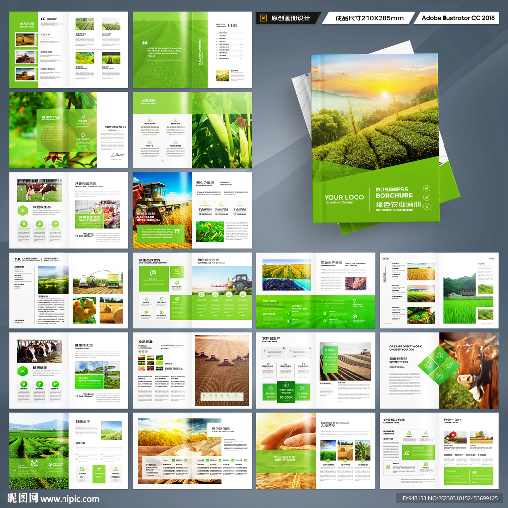 农业合作社画册