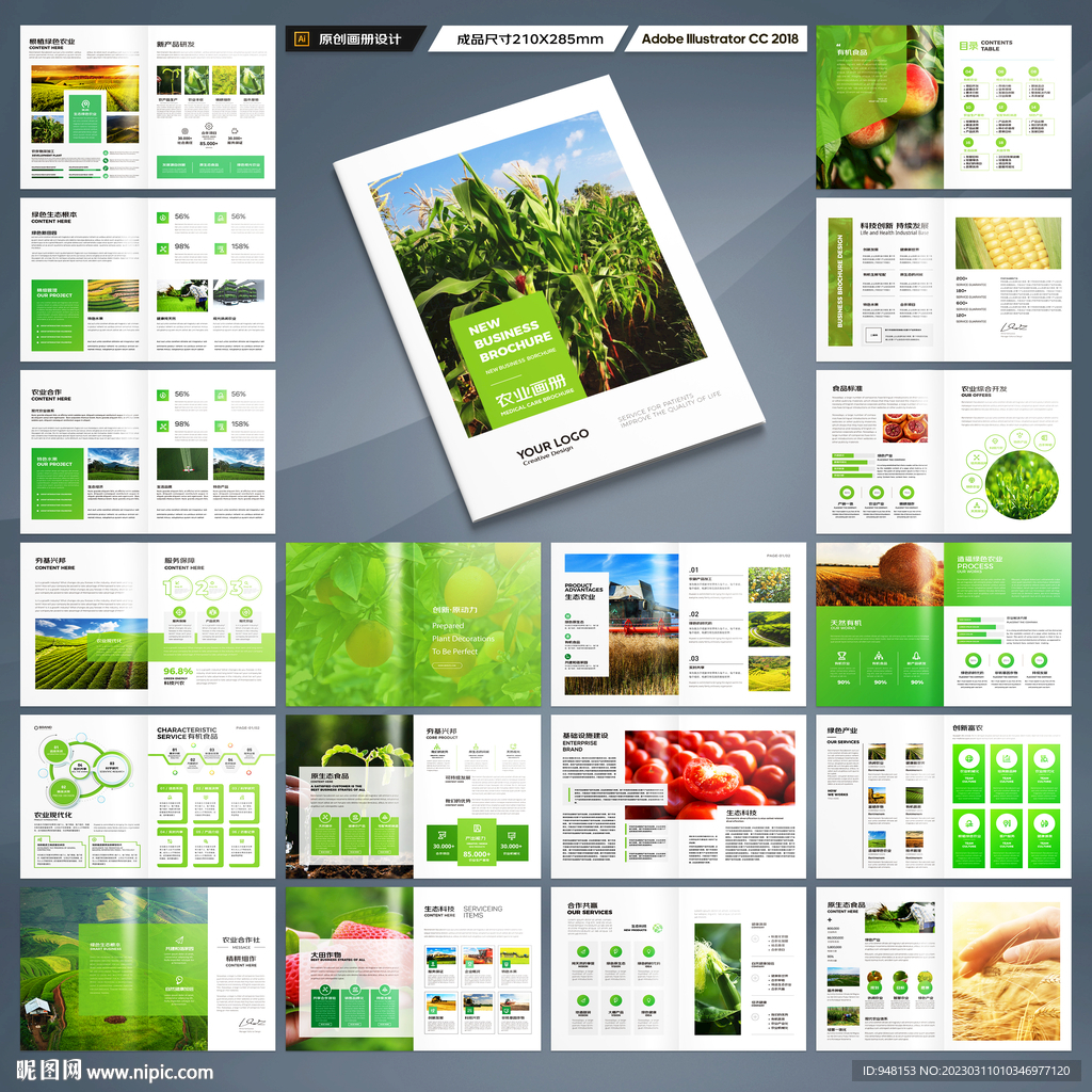 农业科技画册