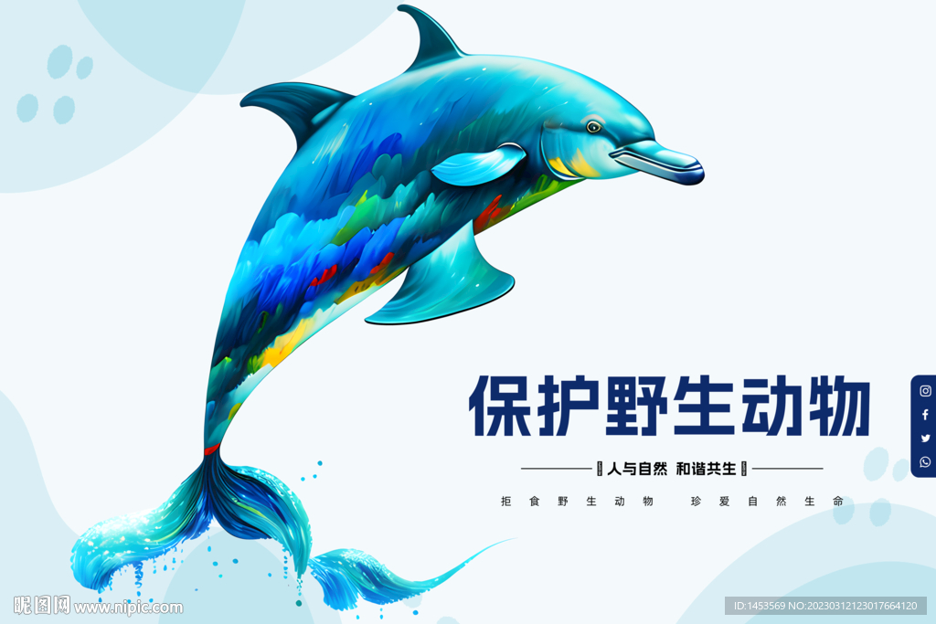海豚