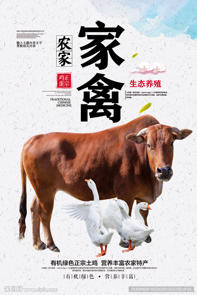 家禽