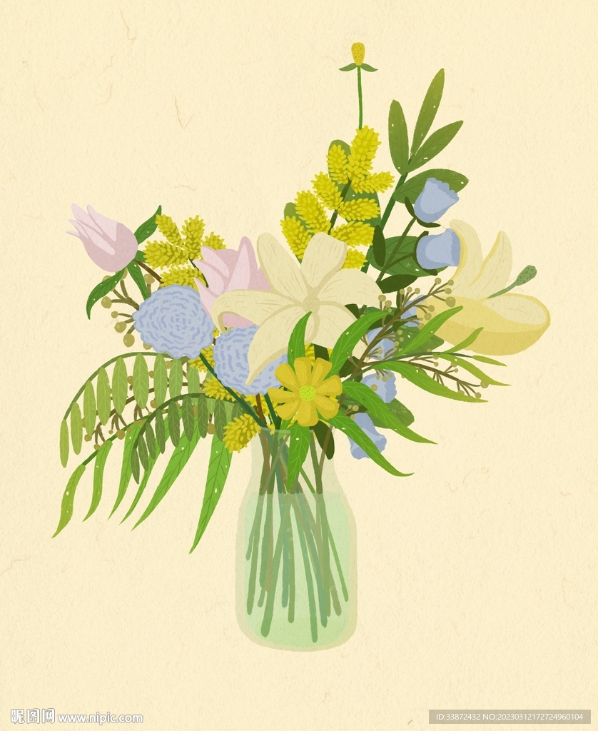 植物插画