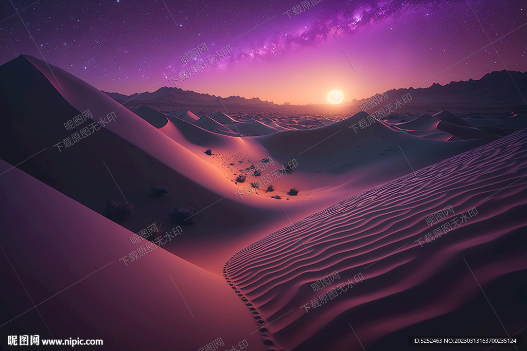 沙漠的夜空