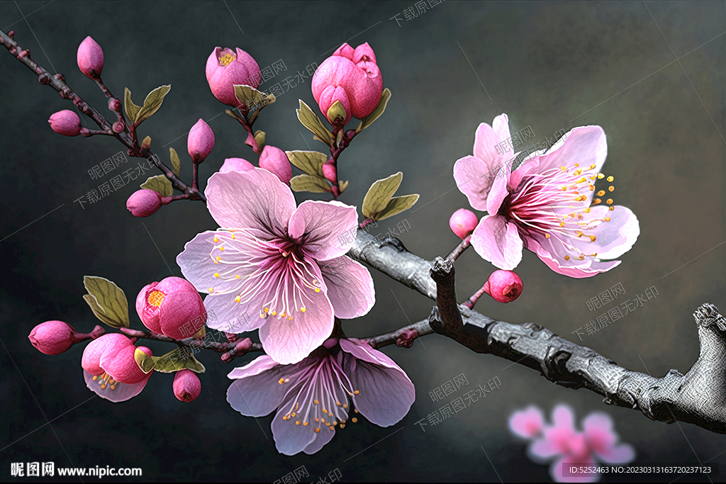 粉色桃花