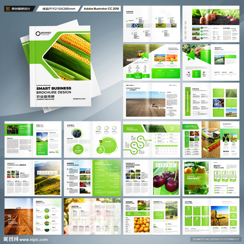 农产品画册