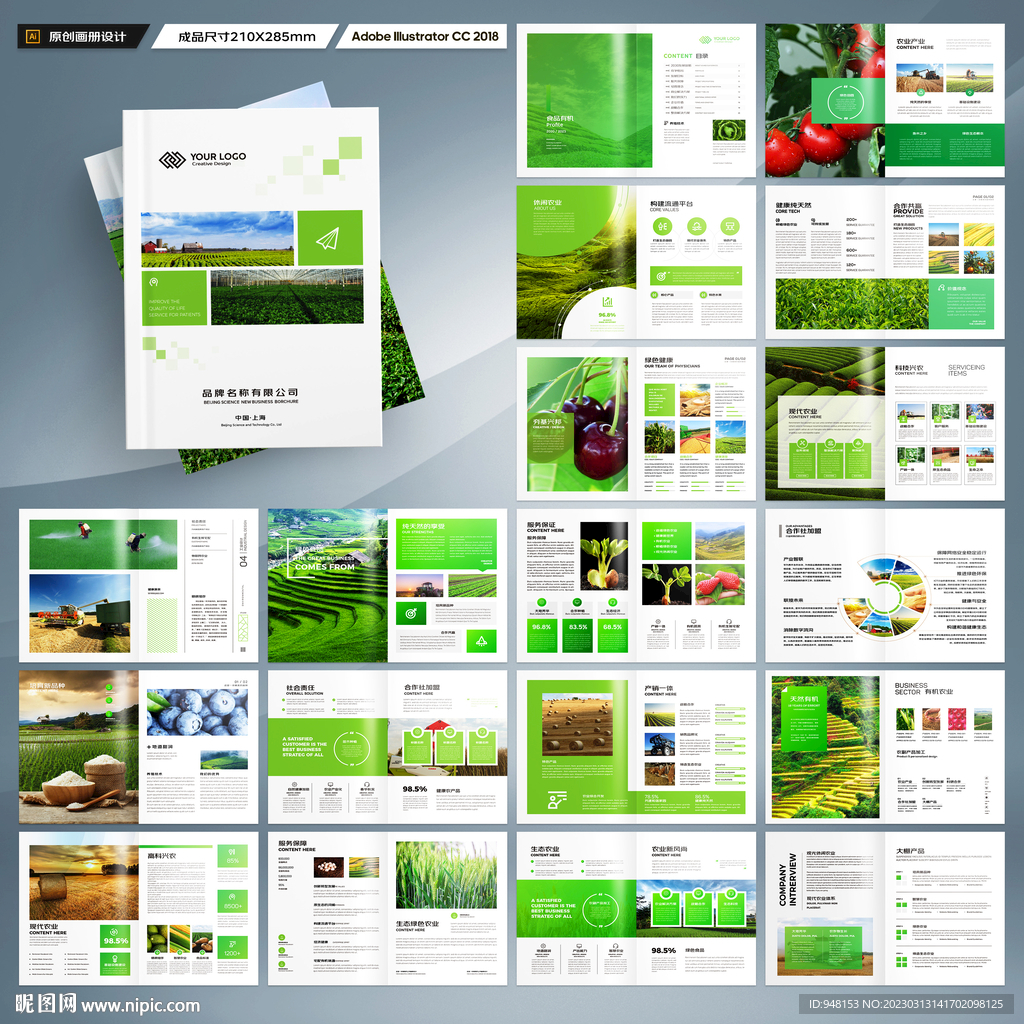 农业合作社画册