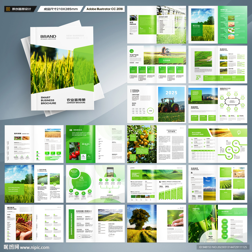 农产品宣传册