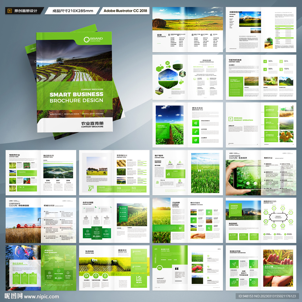 农业合作社画册