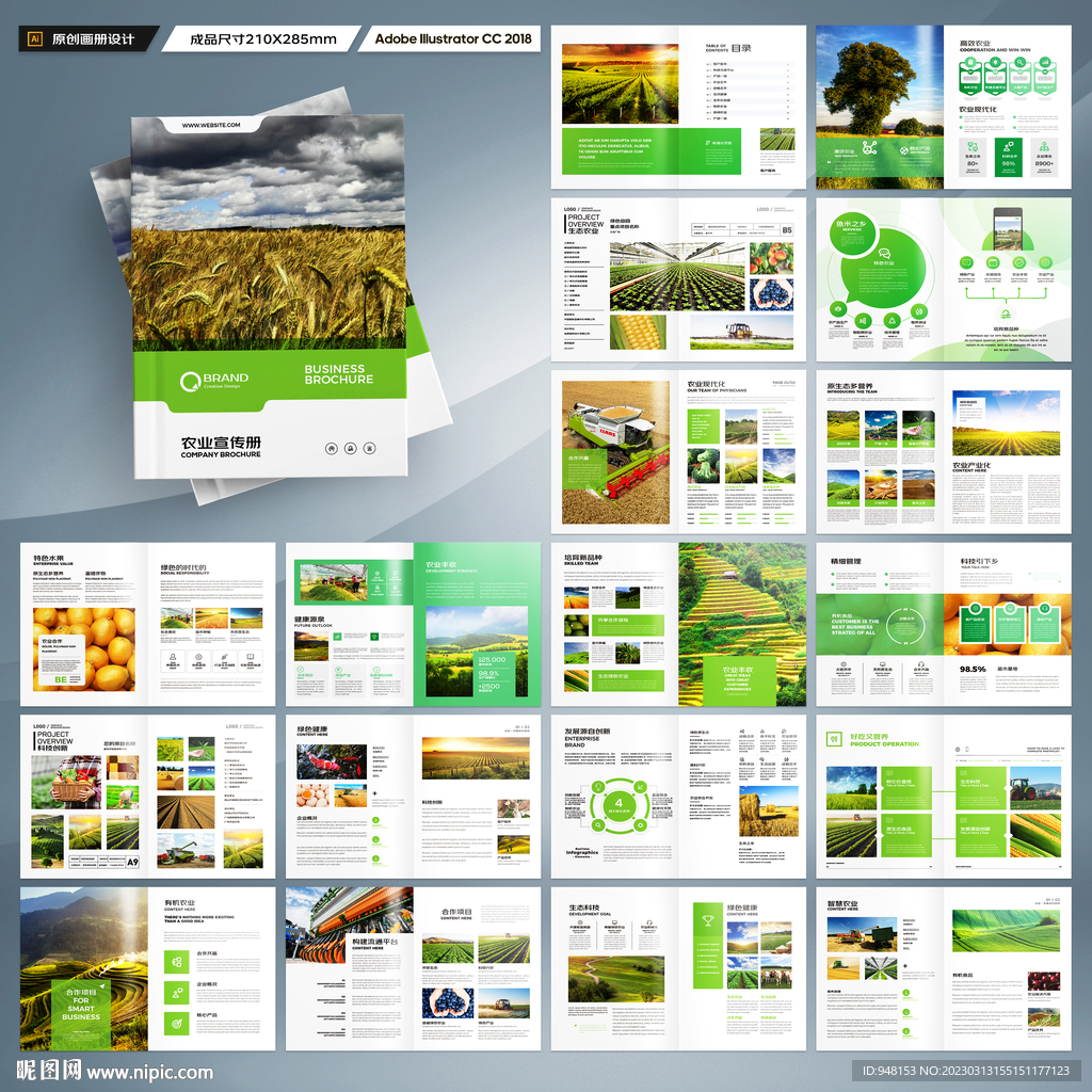 农产品宣传册