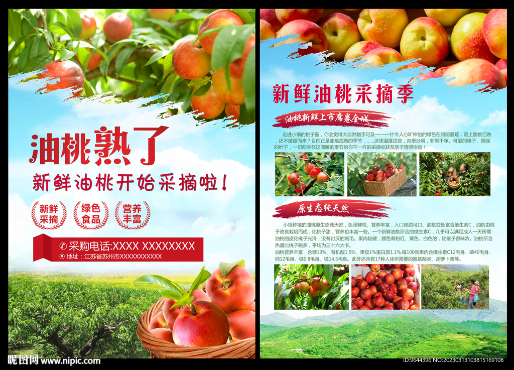 油桃