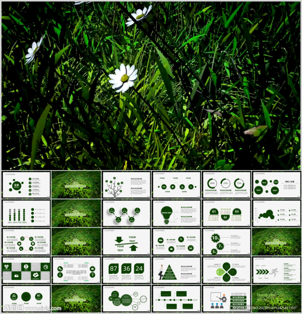 植物发芽植物生长敬畏生命PPT