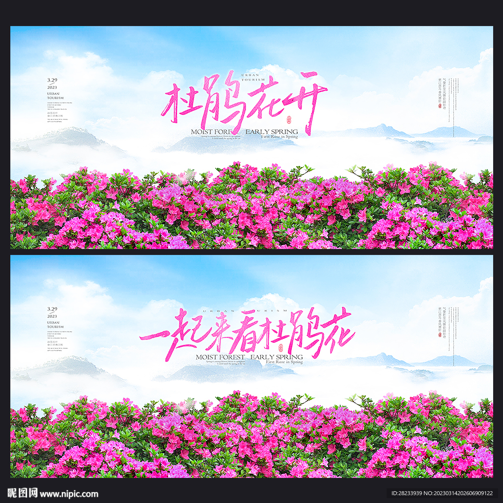 杜鹃花