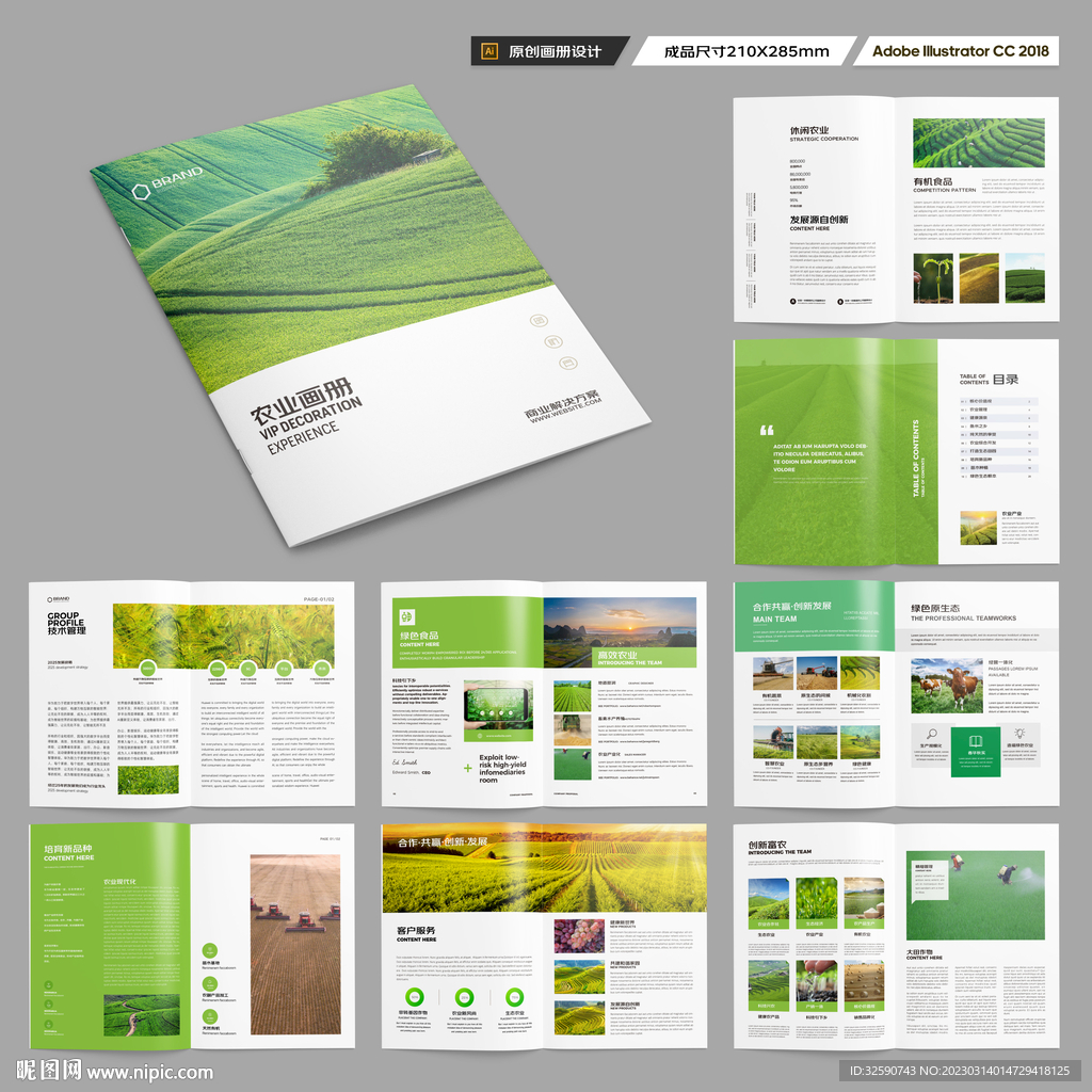 农业宣传册