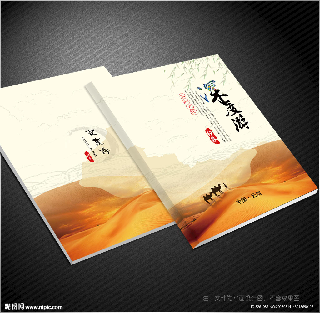 沙漠封面