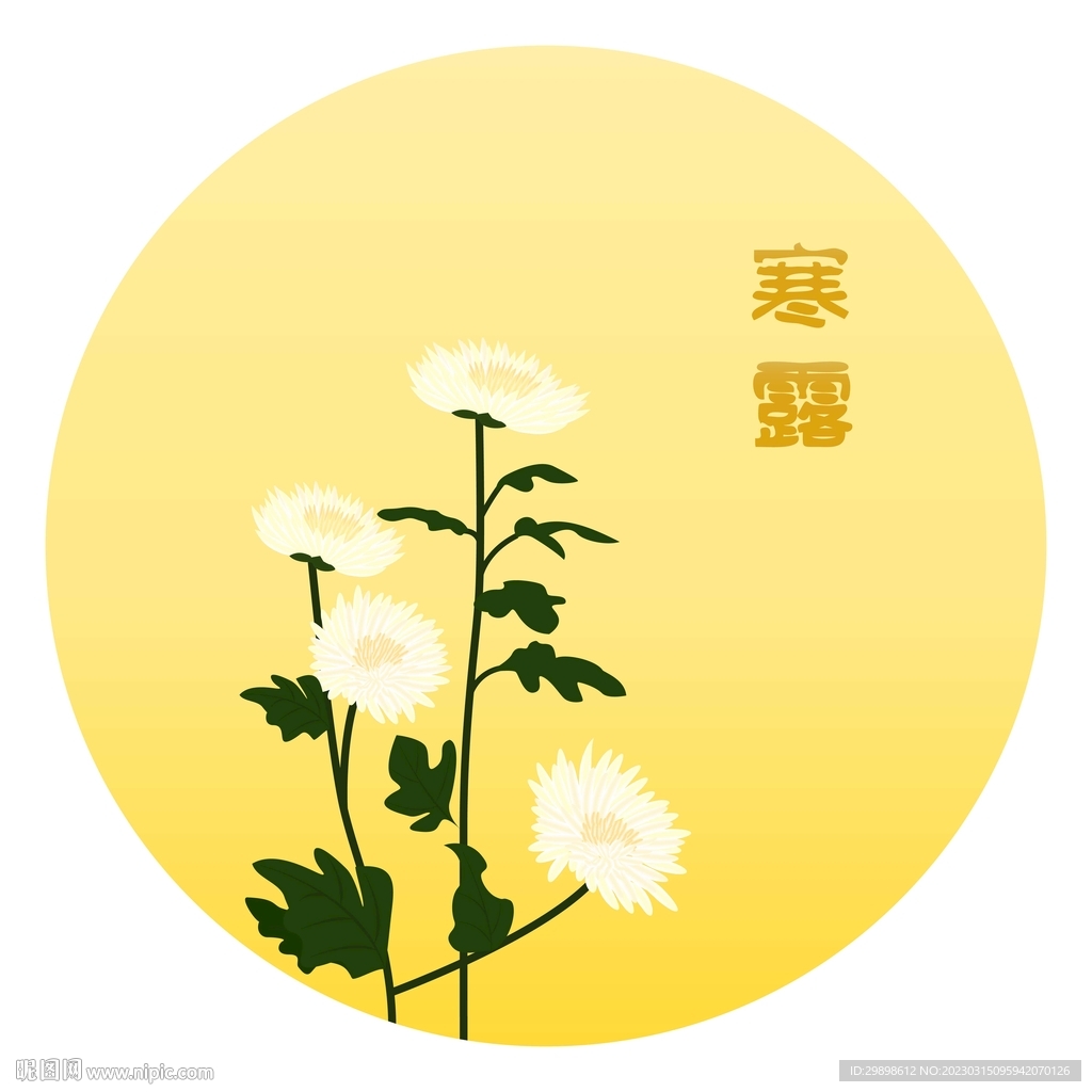 二十四节气寒露背景图矢量图