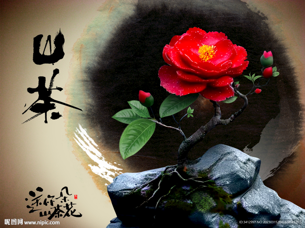 山茶花