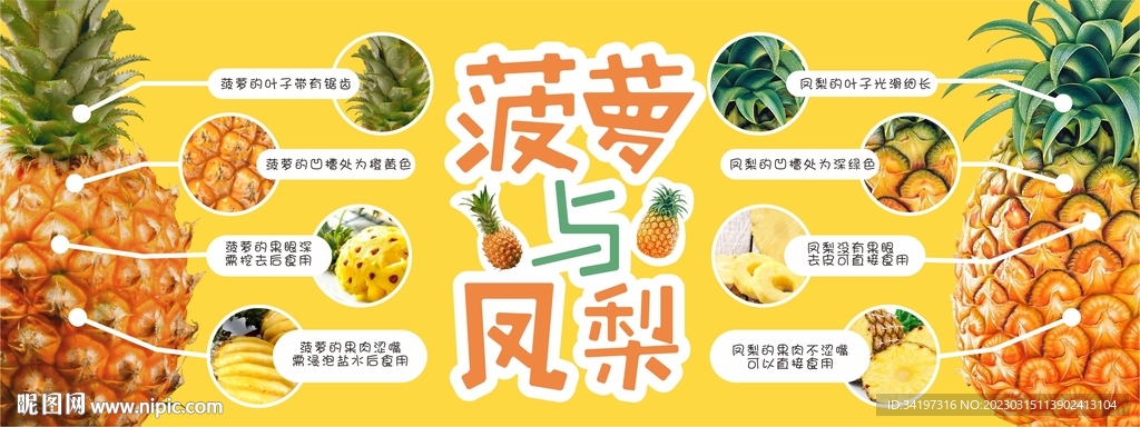 超市吊牌菠萝与凤梨的区别