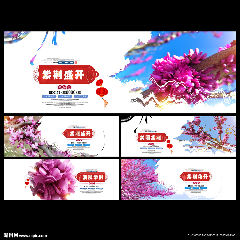 紫荆花