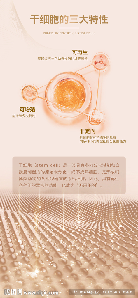 干细胞海报